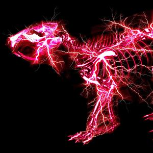 大肉大捧一进一出老旺
